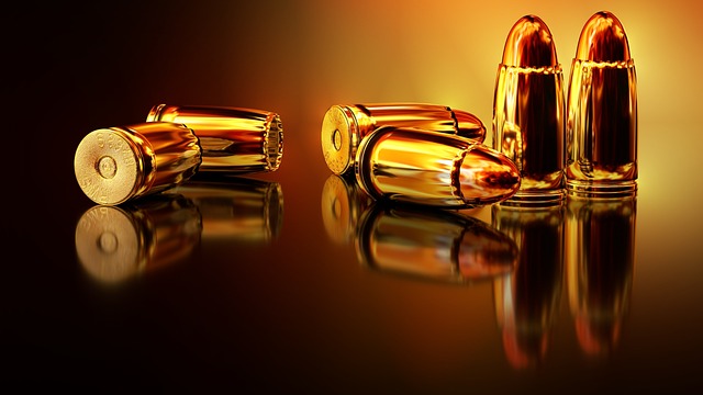 weapon | gun | guns | bullet