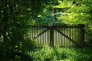 Residential Fence Installation: Enhancing Security and Aesthetics with Wood, Vinyl, and Dog Fence Services