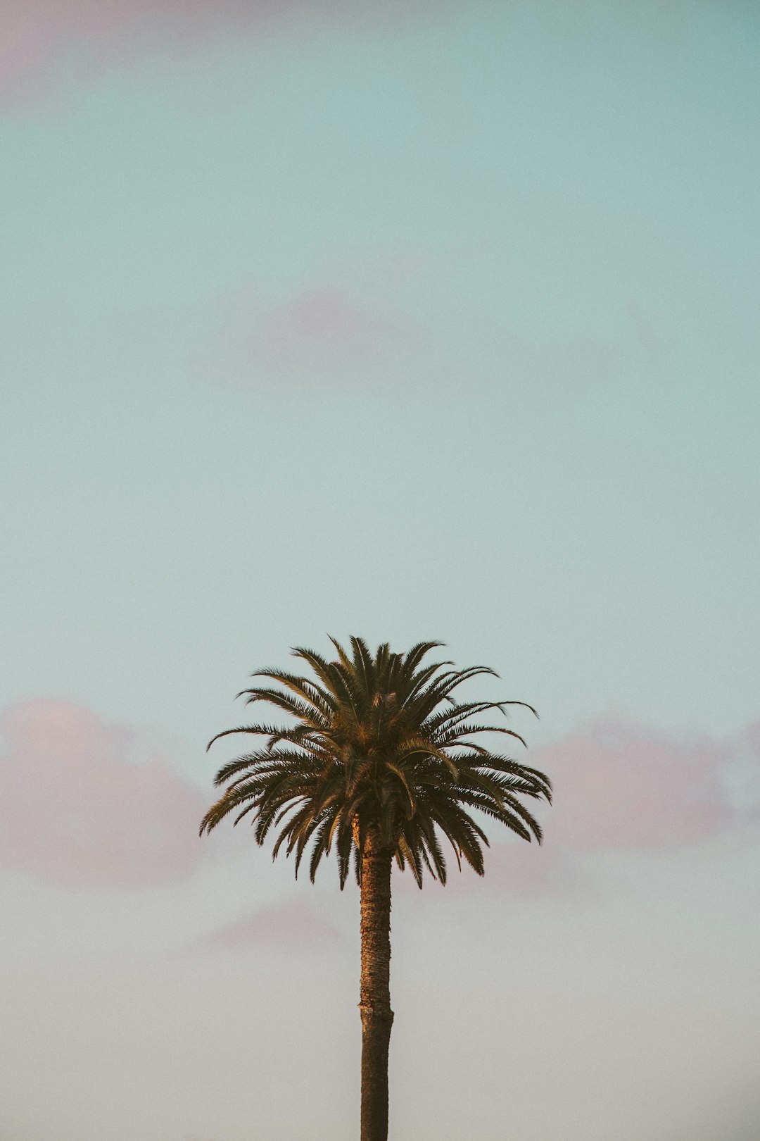 lawfirm,lawyer,California