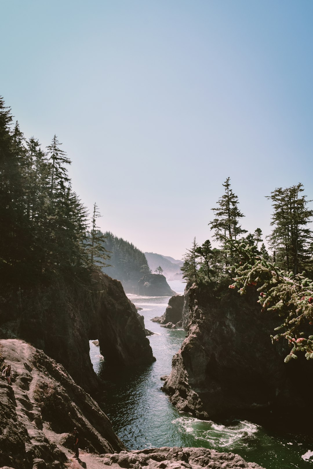 lawfirm,lawyer,Oregon