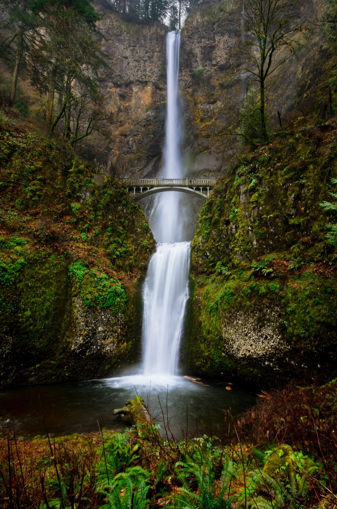 lawfirm,lawyer,Oregon
