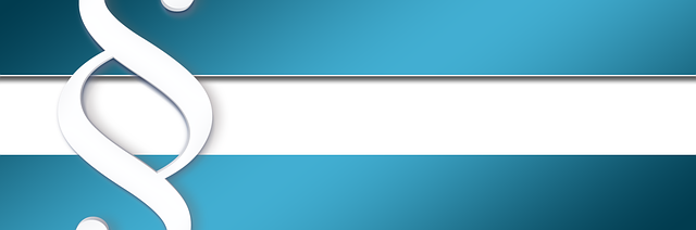 npressfetimg-4588.png