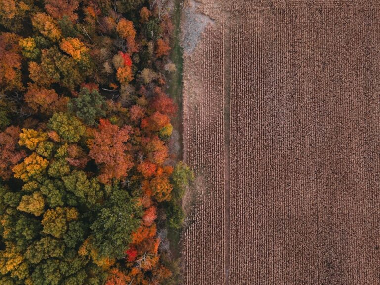 Indiana