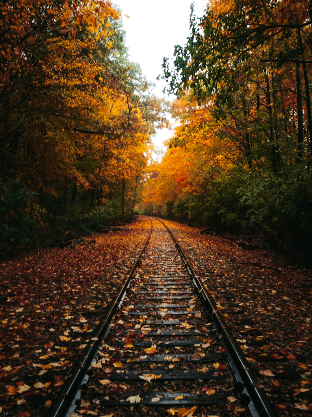 Indiana