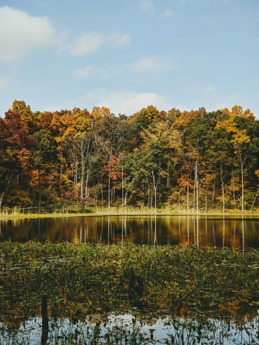 Indiana