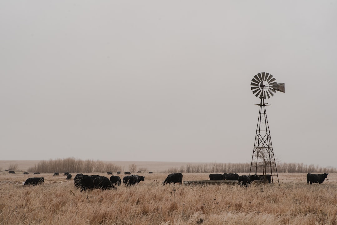 Kansas