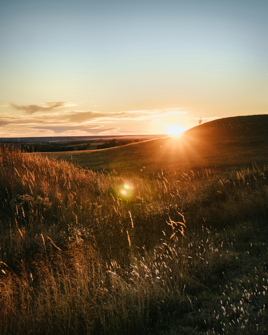 Kansas