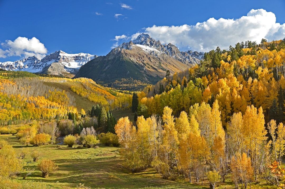 lawfirmlawyercolorado-640x480-15894341.jpeg