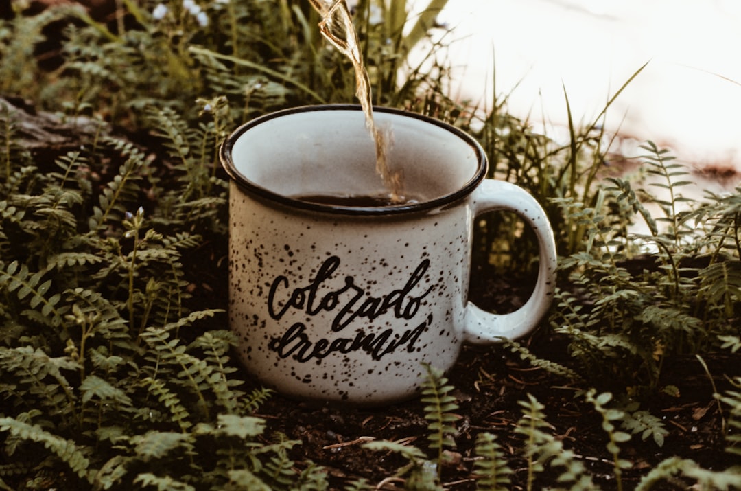 lawfirm,lawyer,Colorado