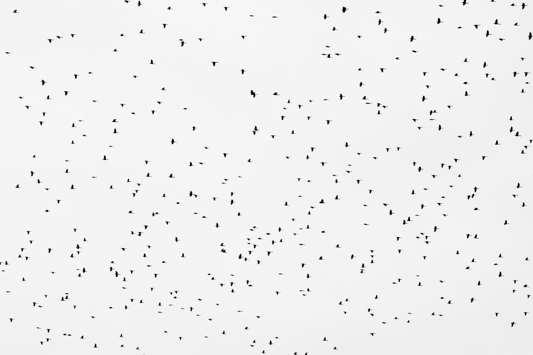 lawfirm,lawyer,Connecticut