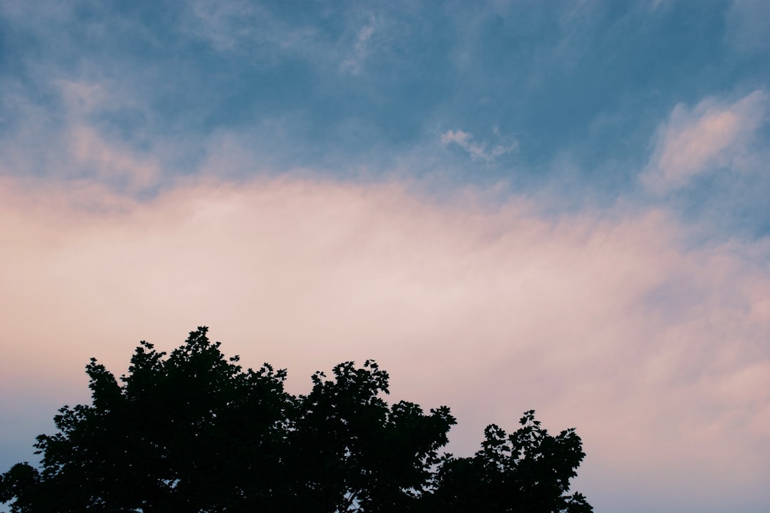 Mindfulness as Defense: Preventing Boundary Violations in CT Massage Therapy