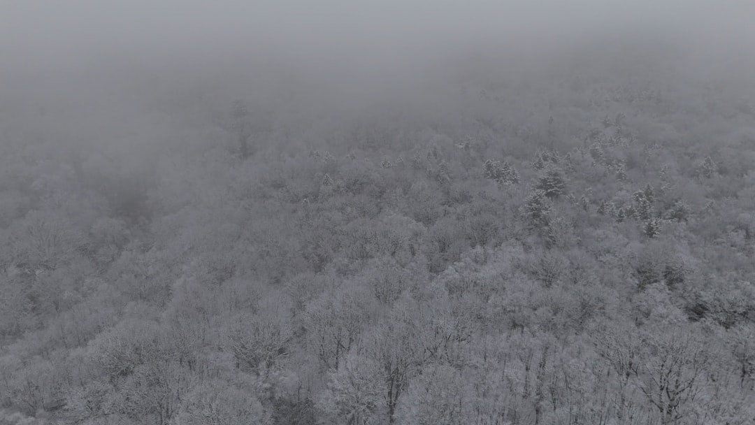 lawfirm,lawyer,Connecticut