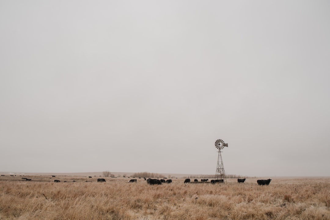 Doctor Sexual Abuse in Kansas: Support & Legal Rights for Families