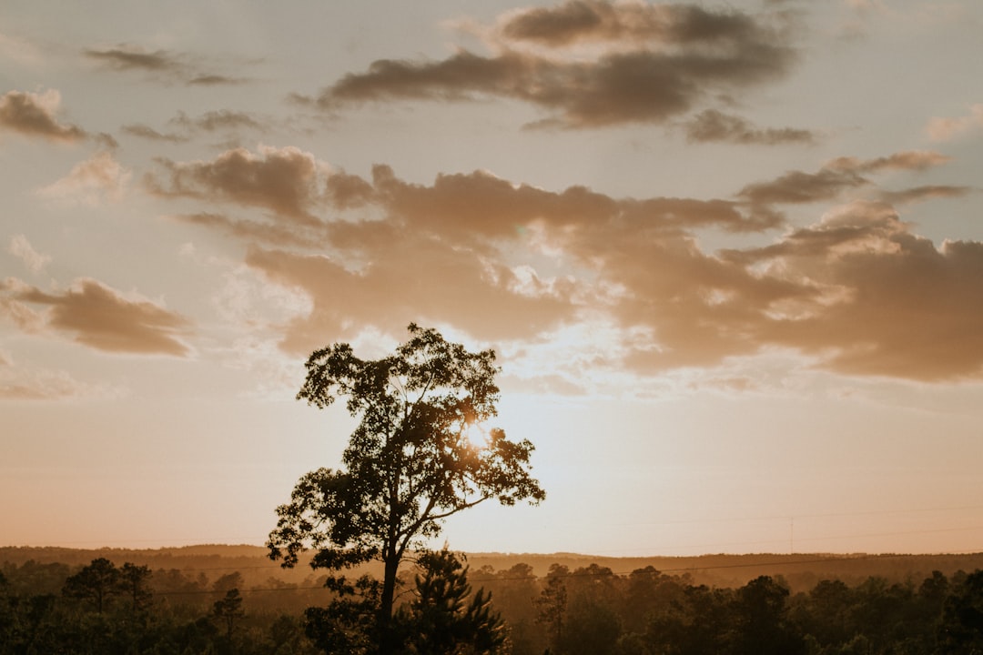 lawfirmlawyermississippi-640x480-13389924.jpeg