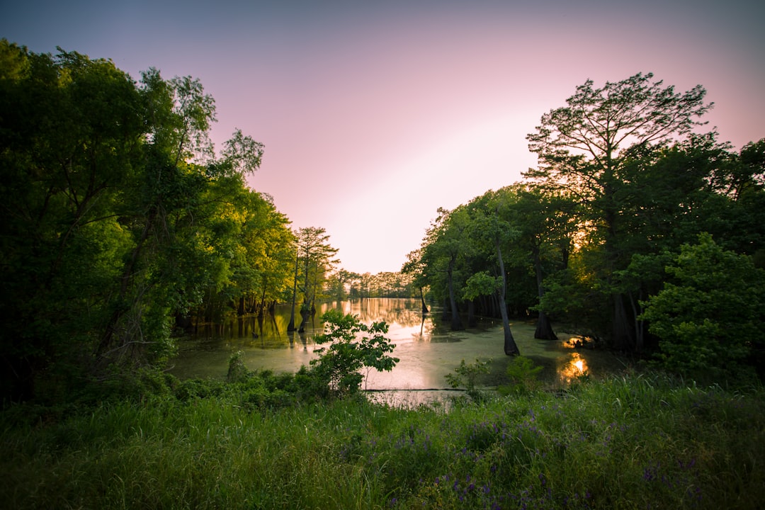 lawfirmlawyermississippi-640x480-51160143.jpeg