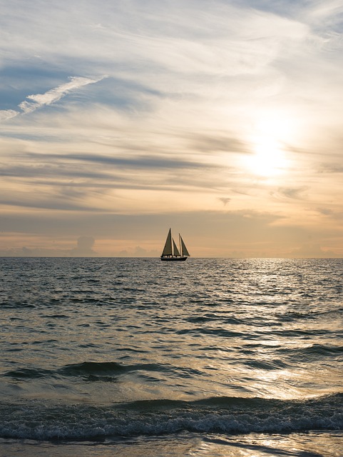 Miami FL: Navigating Plea Deals in Sexual Abuse Cases with Legal Guidance