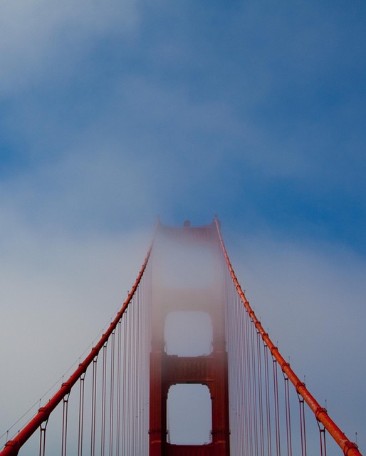 San Francisco’s Psychedelic Therapy Community: Addressing Sexual Assault & Legal Support