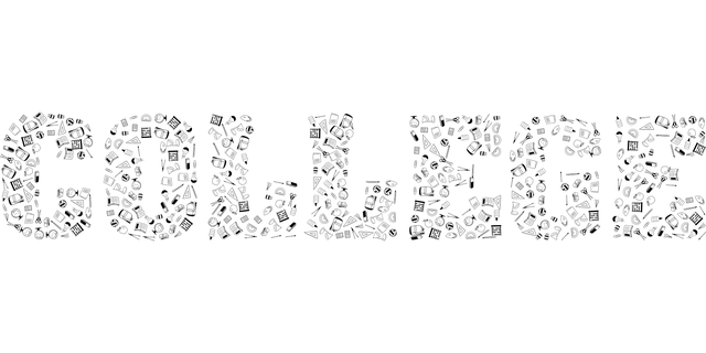 npressfetimg-4404.png