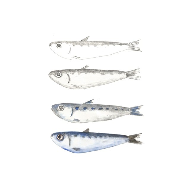 npressfetimg-6803.png