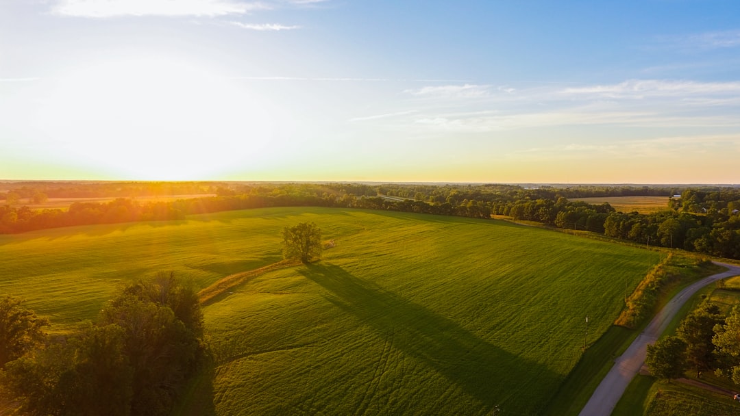 Ohio