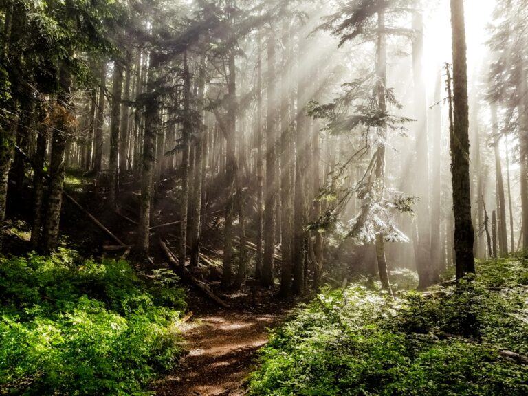 Oregon