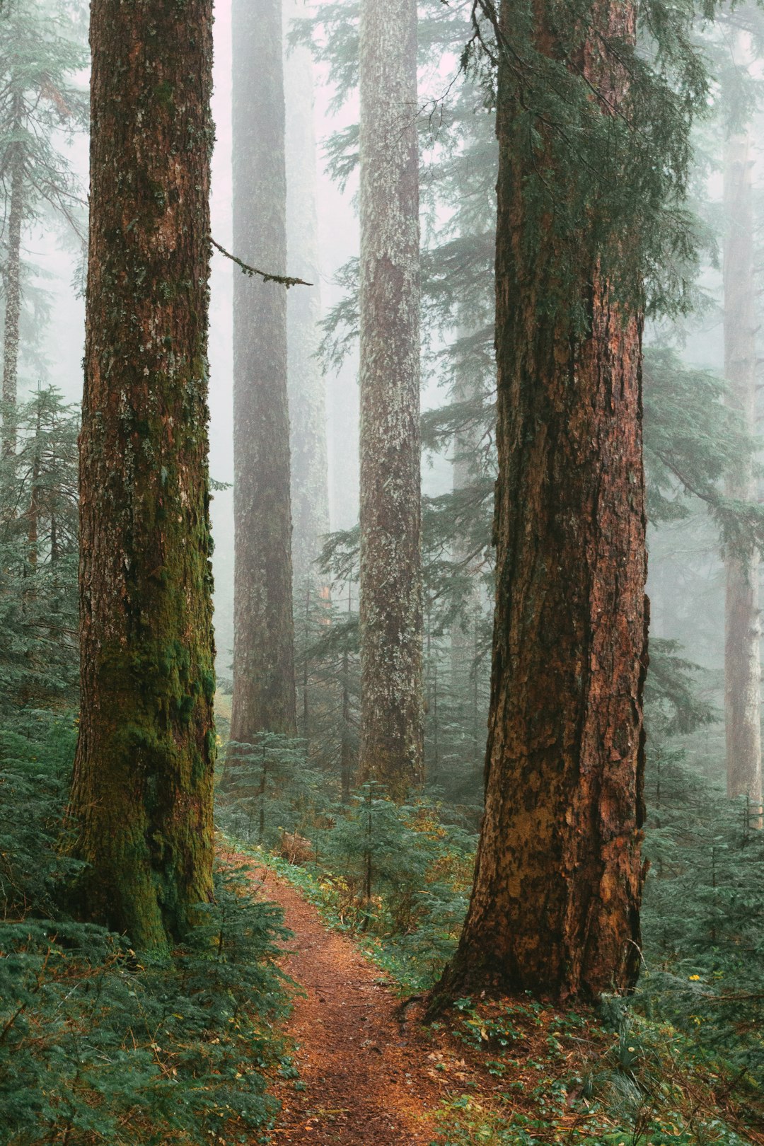 Oregon