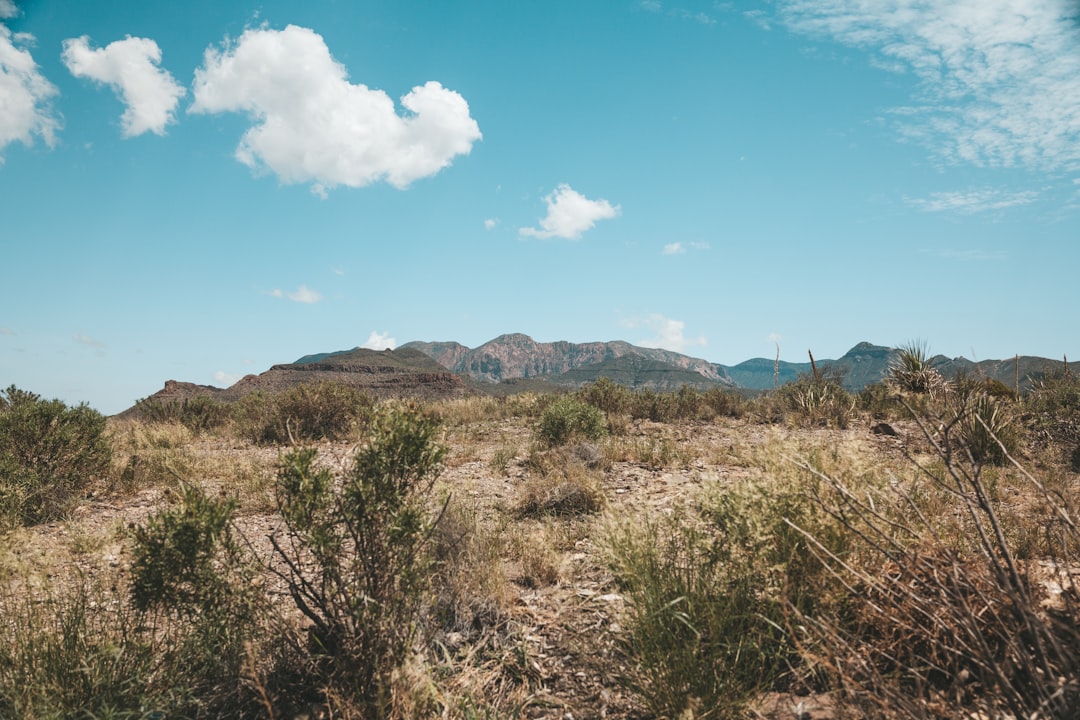 Texas