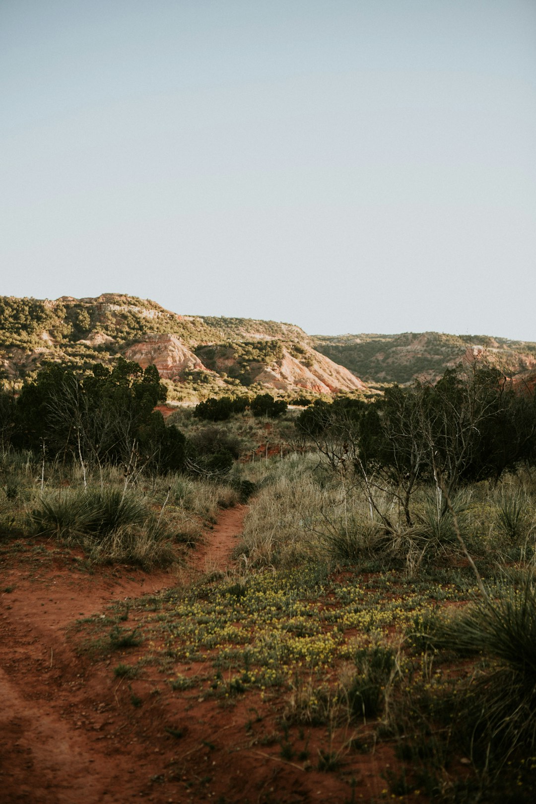 Texas