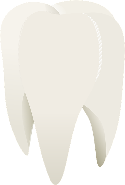 doctor-640x480-72419814.png