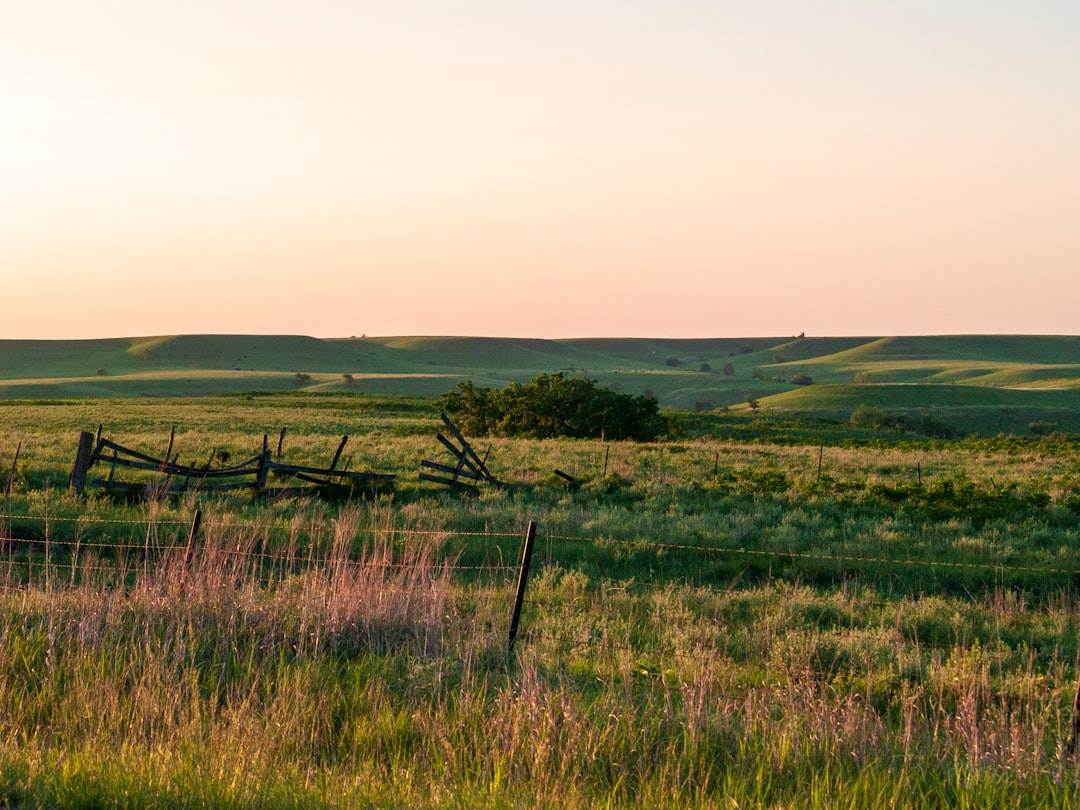 Navigating Title IX Laws: Finding Top Lawyers in Kansas
