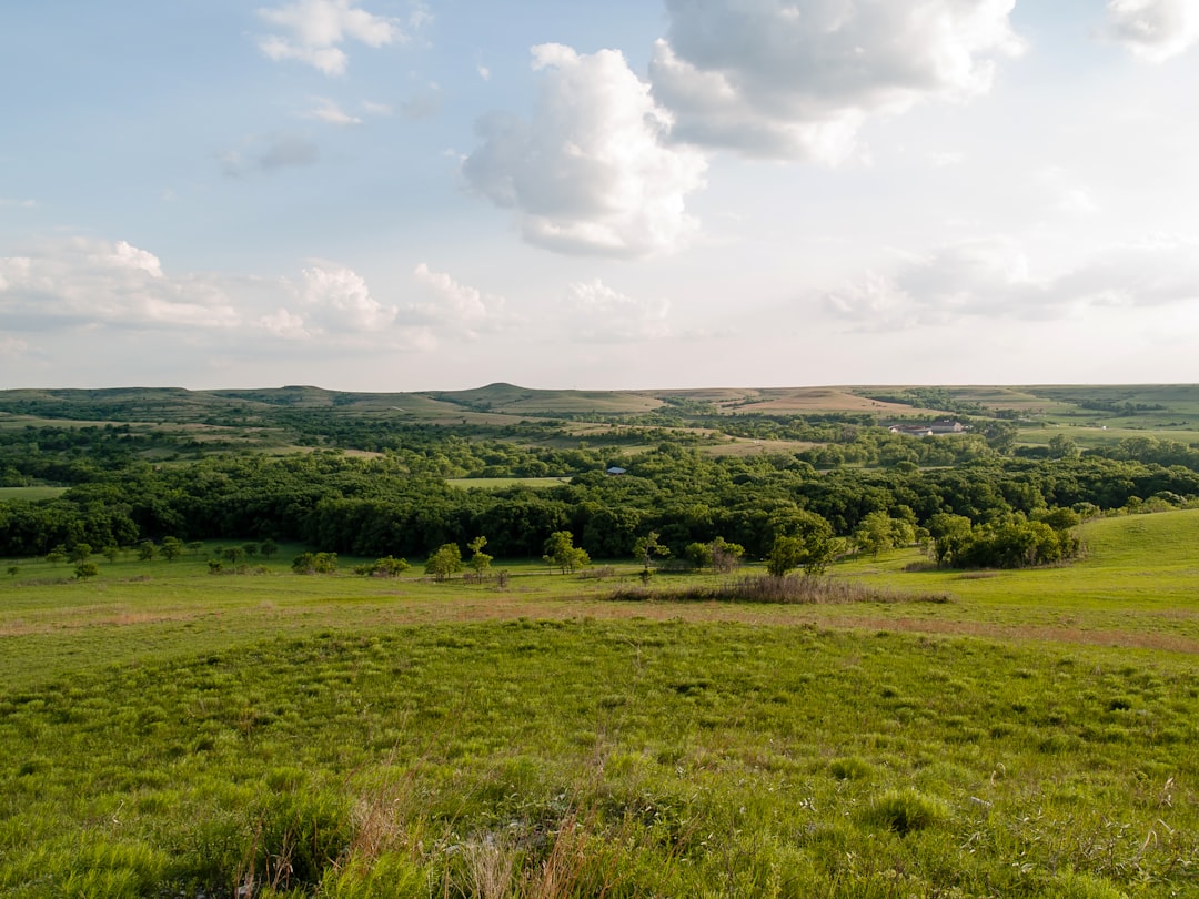 Empowering Survivors: Peer Support for Kansas School Abuse Victims