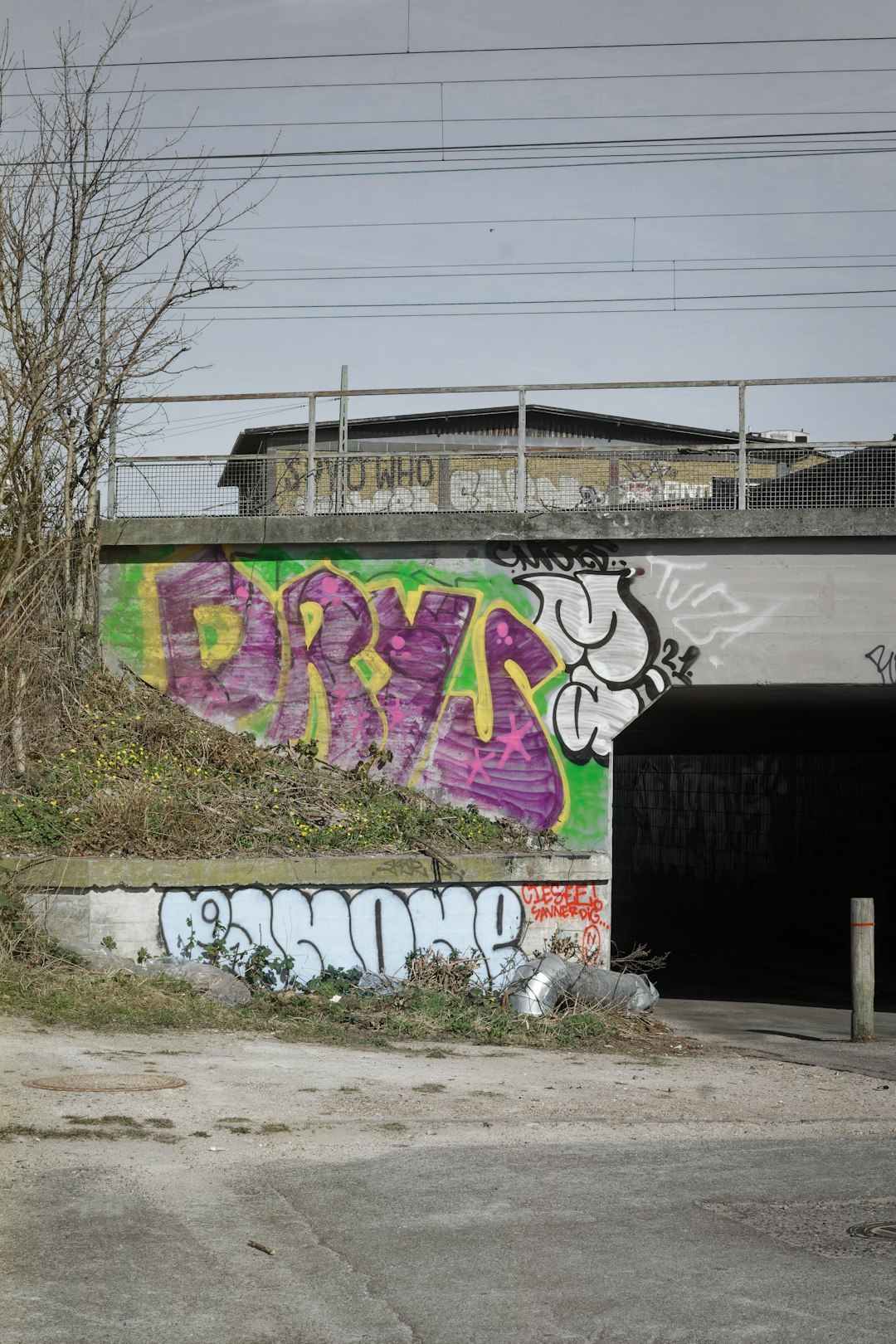 lawfirm