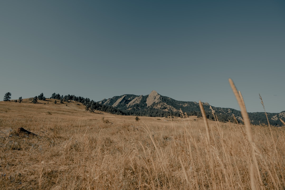 lawfirmlawyercolorado-640x480-78002722.jpeg