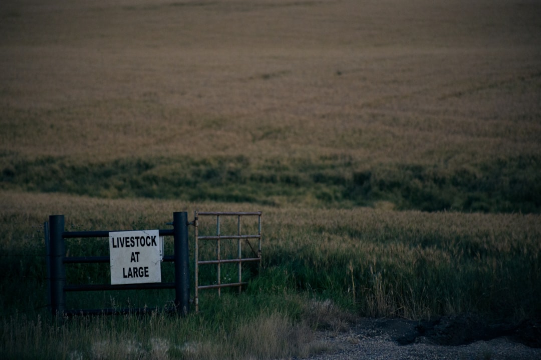 lawfirmlawyerkansas-640x480-94817394.jpeg