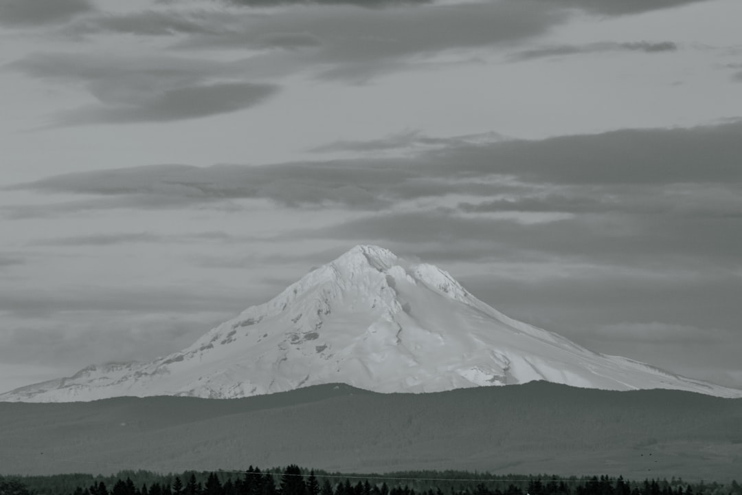 lawfirmlawyeroregon-640x480-37225764.jpeg