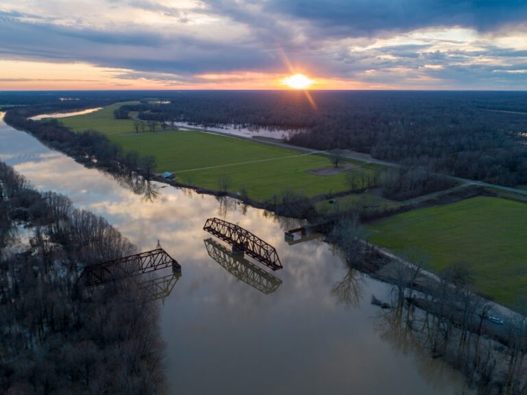lawyer,lawsuit,Mississippi
