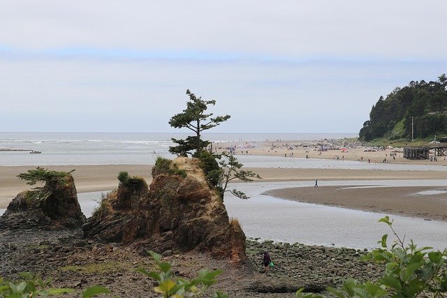 Hazing Abuse & Sexual Assault Law Firm Serving Oregon Clients