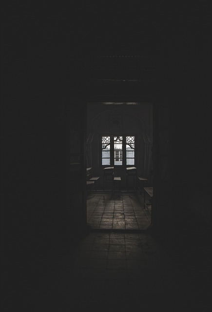 npressfetimg-2850.png