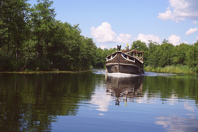 Navigating Cruise Line Sexual Assault Laws: Finding Top Lawyers in Austin, TX