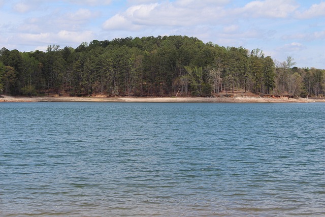 Navigating Decatur, GA Child Abuse Law: Appeals Process & Defense Strategies

This title includes the key elements: appealing a conviction, child cruelty laws, location (Decatur, GA), and the SEO keyword child abuse law firm Atlanta GA.