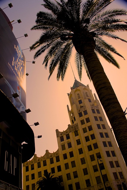 Hospital Sexual Assault Legal Advocacy: Resources & Rights in LA