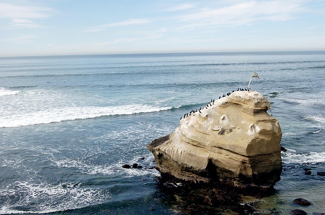 Hospital Sexual Assault Lawyers San Diego: Navigating Complex Cases