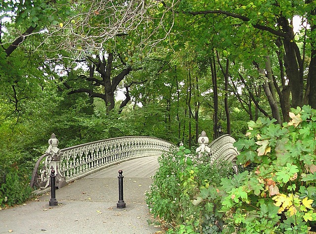 Resources for NY Families After Childcare Negligence and Sexual Abuse