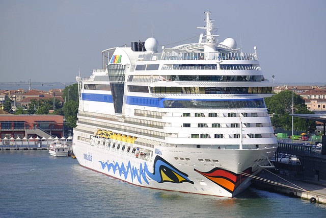 Cruise Ship Assault Victims Find Support in Missouri