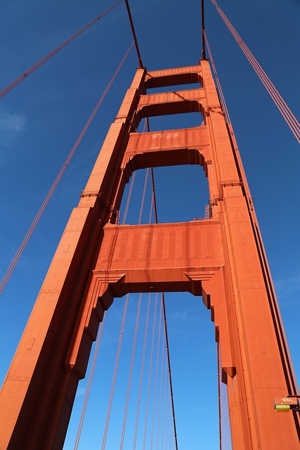 Cruise Line Sexual Assault: Legal Rights & Responsibilities in San Francisco