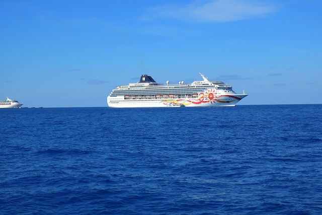 Legal Advice for Cruise Ship Sexual Assault Victims in Austin, TX