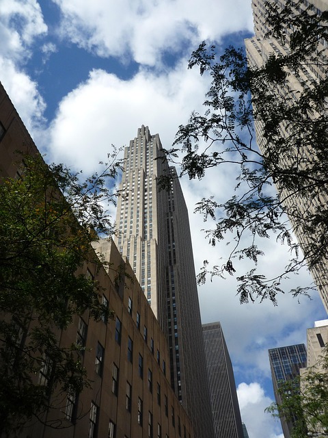 Navigating Legal Pathway: Support for Sexual Assault Survivors in NYC