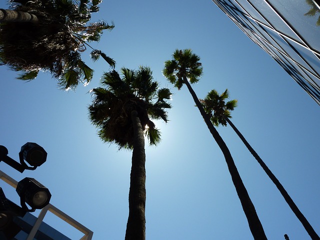 Sexual Assault Lawyers LA: Supporting Survivors Through Legal Guidance
