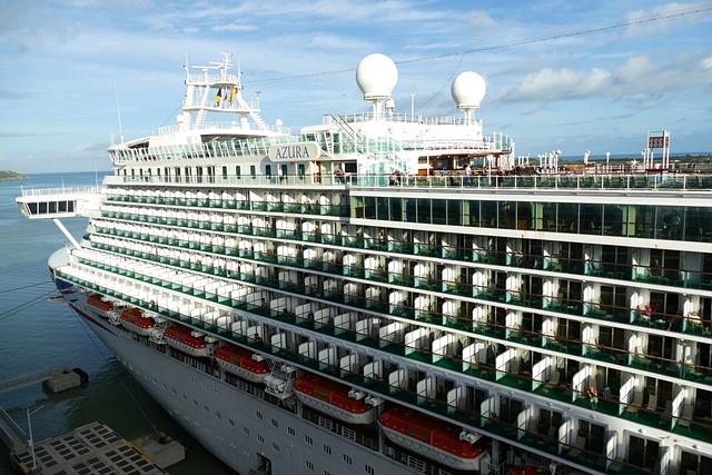 Navigating Cruise Sexual Assault Claims: Finding Top Lawyers in Austin, TX