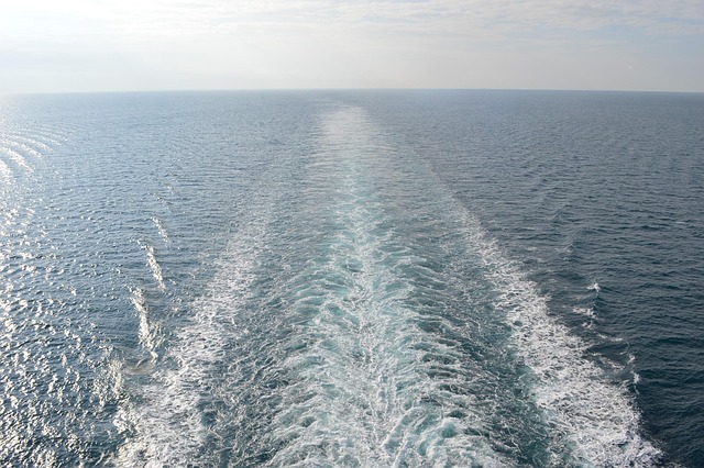Seattle’s Cruise Assault Lawyer: Navigating Justice for Victims